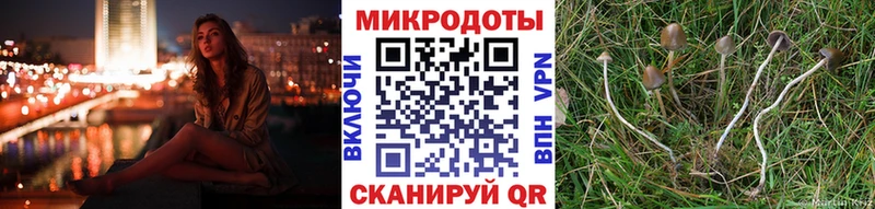 Купить закладки  Нязепетровск  Псилоцибиновые грибы GOLDEN TEACHER 